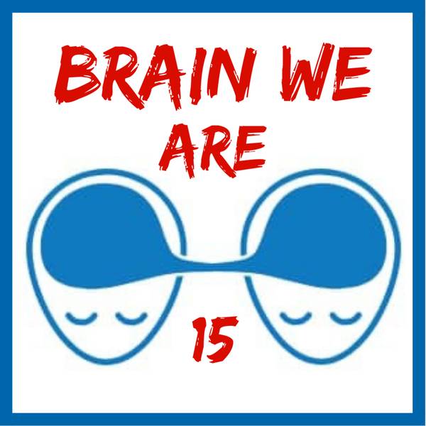 Brain We Are CZ